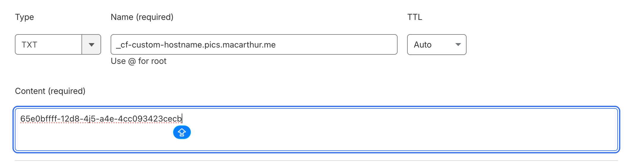 TXT verification record